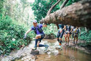 BIB: 
                            <button type="button" onclick="openModal(25372270)" class="btn btn-primary btn-sm float-right btn-popup" data-toggle="modal" data-target=".modal-high-quality">
                        <i class="fas fa-shopping-cart"></i> Add to Cart
                    </button>
                                            <button type="button" onclick="isThisMe(25372270, true)" class="btn btn-success btn-sm float-right btn-popup btn-isme hidden" data-toggle="tooltip" data-placement="bottom" title="นี่คือรูปของคุณใช่ไหม คลิกที่นี่เพื่อเอาเข้าอัลบั้ม">
                        <i class="fas fa-plus"></i> Add to album
                    </button>
                    <button type="button" onclick="isThisMe(25372270, false)" class="btn btn-warning btn-sm float-right btn-popup btn-isnotme hidden">
                        <i class="fas fa-ban"></i> Remove from album
                    </button>